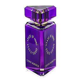 State of Mind Creative Inspiration Parfum 100 ml (unisex)