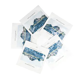 Dr. Althea Marine Anti-Blemish Mask Gesichtsmaske 5 St.