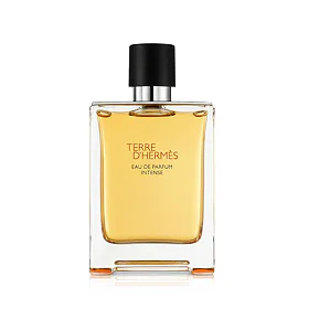 Hermès Terre d’Hermès Intense Eau De Parfum Intense - nachfüllbar 100 ml (man)