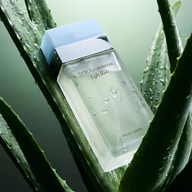Dolce & Gabbana Light Blue Eau De Toilette 100 ml (woman)