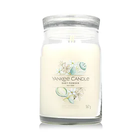 Yankee Candle Duftkerze Praline & Birch 567 g
